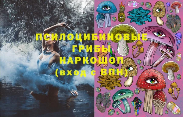 бошки Белокуриха