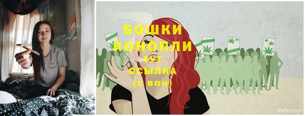 бошки Белокуриха