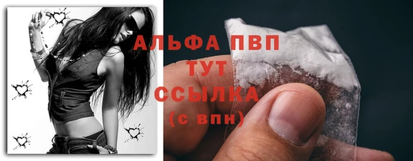 бошки Белокуриха