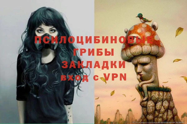 бошки Белокуриха