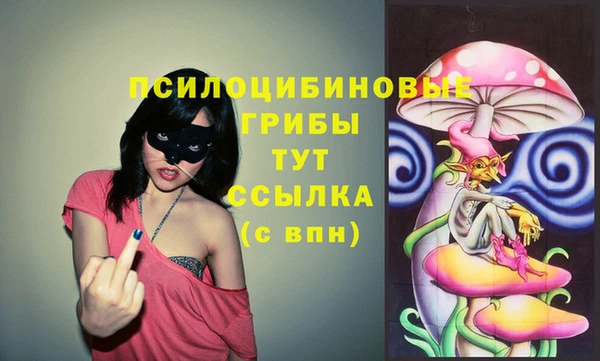 дмт Белоозёрский