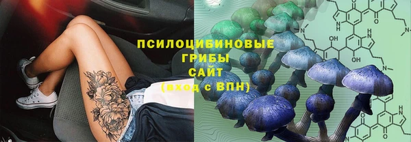 бошки Белокуриха