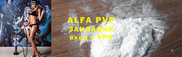 бошки Белокуриха