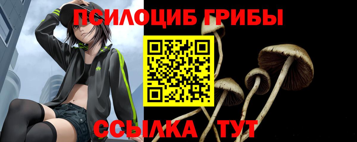 Галлюциногенные грибы ЛСД  Вход с VPN  Славгород 