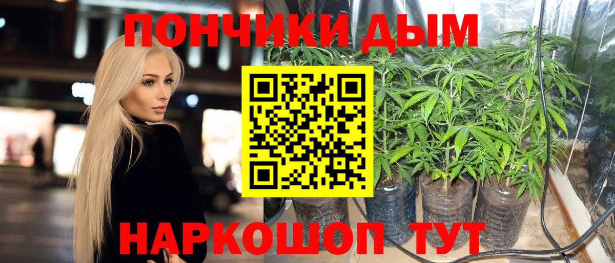 Бошки марихуана Bruce Banner  МАРИХУАНА LSD WEED  Славгород  Марихуана семена  Вход с VPN  Бошки марихуана конопля 